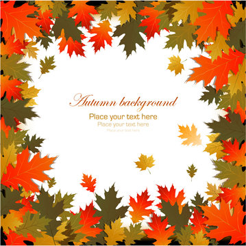 Background autumn leaves frame