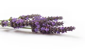 Abwaschbare Fototapete Lavendel Lavendel
