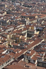 Fototapeta na wymiar City of Florence vertical view on the red roofs