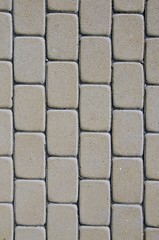 Path background fragment.