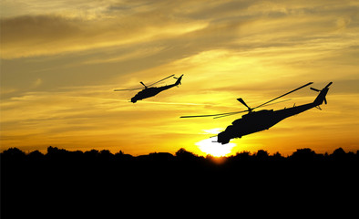 Helicopter silhouettes on sunset background - 43361545