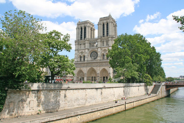 Fototapeta na wymiar katedra Notre Dame de Paris