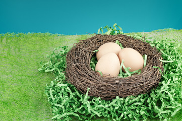 The eggs