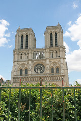 cath&eacute;drale notre dame de paris