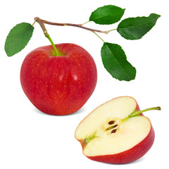Red apple with slice and leaves isolated on white