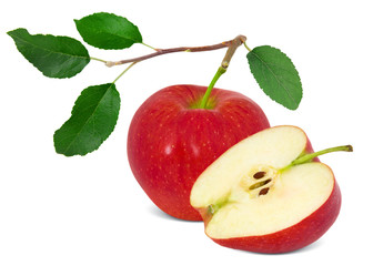 Red apple with slice and leaves isolated on white