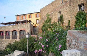 Fototapeta na wymiar Hiver en Roussillon : maisons fleuries de Elne