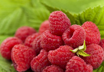 Sweet fresh raspberry fruit closeup view background