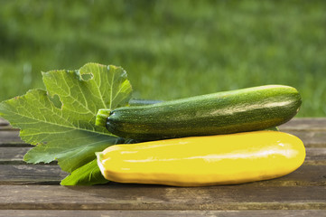 Zucchini