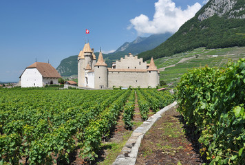 Fototapeta na wymiar Chateau d'Aigle, Szwajcaria