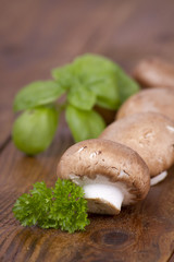 Champignons mit Gewürzen