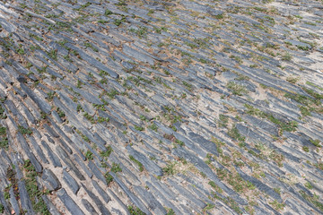 Natural Cobblestone pavement