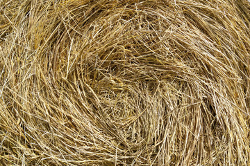 Closeup of a rolled haystack 
