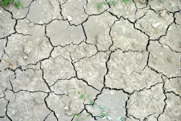 Dry soil as background, concept of drought and aridity
