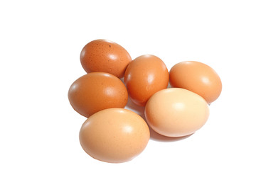 egg