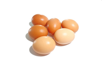 egg