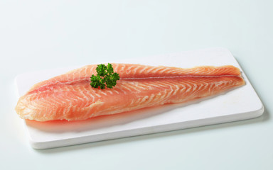 Raw fish fillet