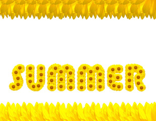 The summer season with sunflowers