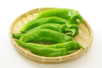 万願寺とうがらし