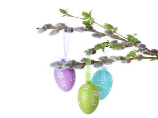 pussy-willow twigs with Easter eggs isolated on white © Africa Studio