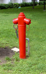 Fototapeta na wymiar Red water hydrant on lawn