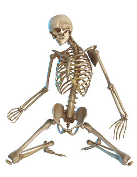 skeleton  kneeling