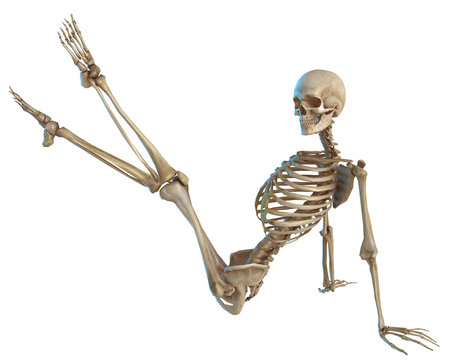 skeleton legs up