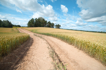 Road and wheat.