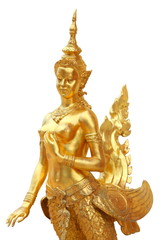 Fototapeta premium Mythical female bird with a human head