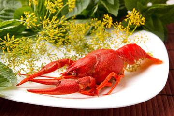 cooked crayfish with fennel and mint