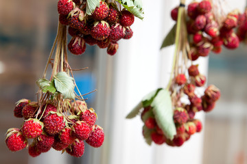 Obraz na płótnie Canvas a bouquet of dried strawberries for tea