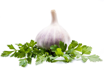 parsley and garlic on an isolated background