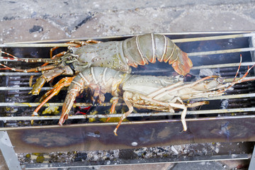 Lobsters