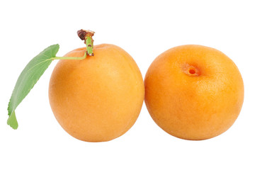 Two peaches (or apricots) isolated on white