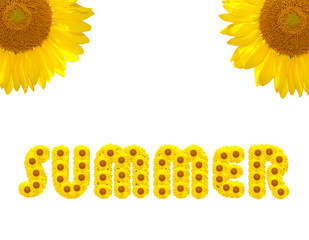 Summer Text made with sunflowers isolated