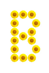 sunflower alphabet B on the white background