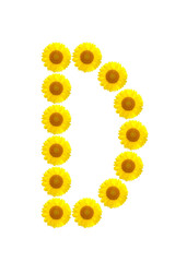 sunflower alphabet D on the white background