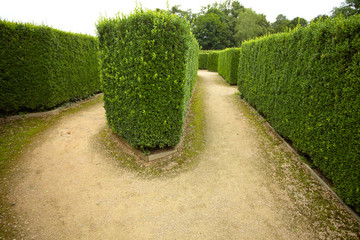 Naklejka premium geometric pattern of green hedge flowerbed