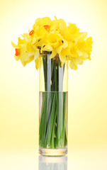 beautiful yellow daffodils in transparent vase