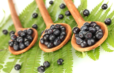 Tasty blueberries in wooden spoons on fern close-up