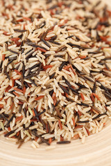 variety of rice