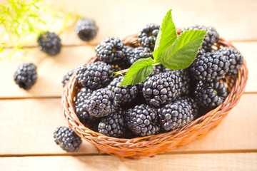 fresh blackberry