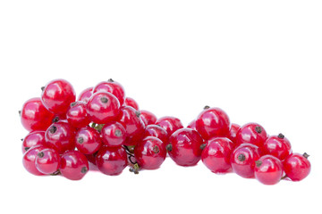 rote Johannisbeeren