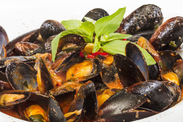 close up on mussels on white background