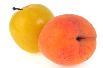 L'abricot et la prune