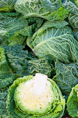 Background from more freshly green cabbage