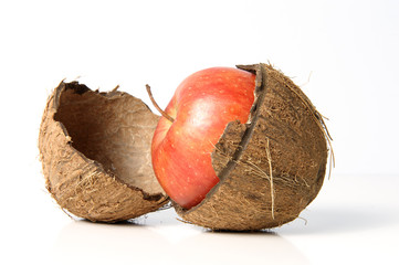 Kokosnuss-Apfel