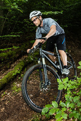 Fototapeta premium Mountainbiker im Downhill