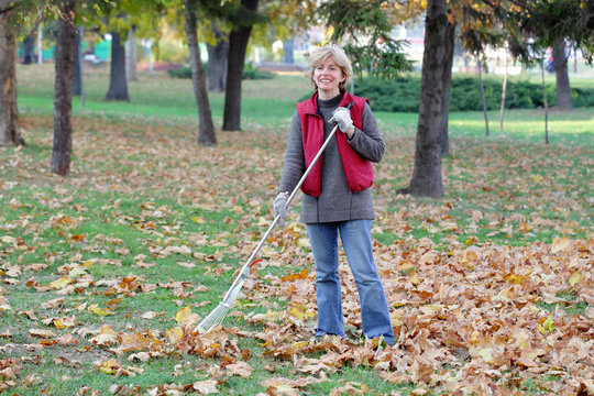 Autumn, woman raking leaves and smiling