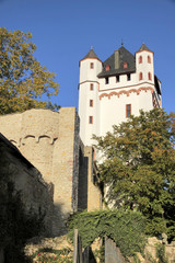 Fototapeta na wymiar Kurfürstliche Burg Eltville
